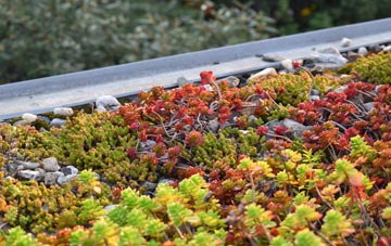 the cost of Meopham green roof installation