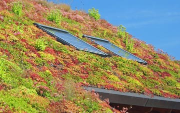 Meopham living roof systems