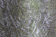 Meopham fibreglass roof work